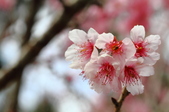 Enlarge photo 128