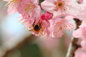 Enlarge photo 124