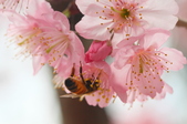 Enlarge photo 123