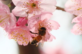 Enlarge photo 120