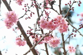 Enlarge photo 115