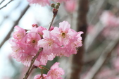Enlarge photo 113