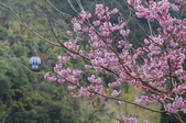 Enlarge photo 105
