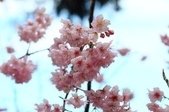 Enlarge photo 102