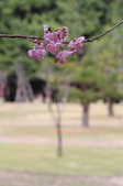 Enlarge photo 99