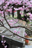 Enlarge photo 92