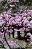 Enlarge photo 91