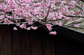 Enlarge photo 89
