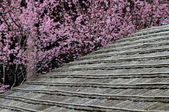 Enlarge photo 76