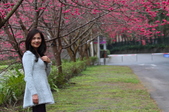 Enlarge photo 71