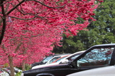 Enlarge photo 67