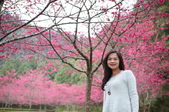 Enlarge photo 62