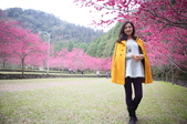 Enlarge photo 59