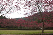 Enlarge photo 58