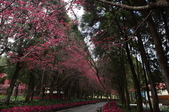 Enlarge photo 40