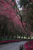 Enlarge photo 39