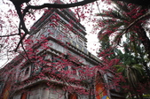 Enlarge photo 37