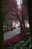 Enlarge photo 35