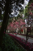 Enlarge photo 36