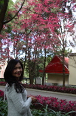 Enlarge photo 34