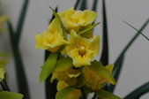 Enlarge photo 73