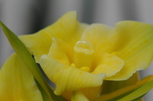 Enlarge photo 72