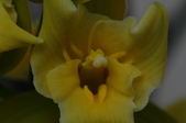 Enlarge photo 71
