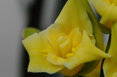 Enlarge photo 70