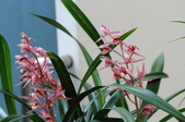 Enlarge photo 58