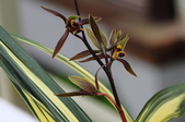 Enlarge photo 46