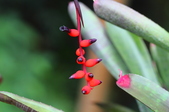 Enlarge photo 42