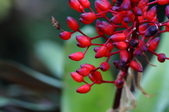 Enlarge photo 38