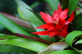 Enlarge photo 35