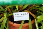 Enlarge photo 33