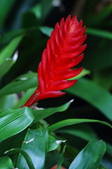 Enlarge photo 31