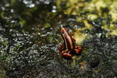 Enlarge photo 18