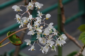 20150223植物園