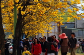 Enlarge photo 38