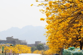 Enlarge photo 37