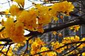 Enlarge photo 36