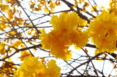 Enlarge photo 35