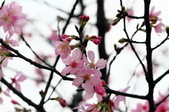Enlarge photo 103