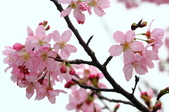 Enlarge photo 91