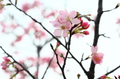 Enlarge photo 89