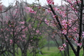 Enlarge photo 71