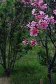 Enlarge photo 68