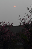 Enlarge photo 67