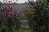 Enlarge photo 66