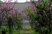 Enlarge photo 64