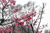 Enlarge photo 58